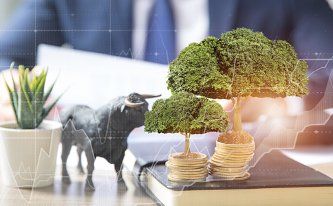 海南公司注冊(cè)所需注意事項(xiàng)、材料與流程詳解